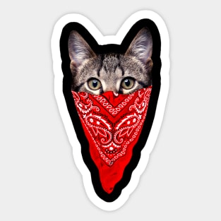 Gangster Cat Sticker